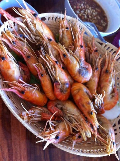 พลอยพีทกุ้งเผา พลอยพีทกุ้งเผา