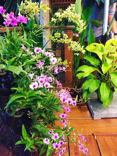 บรรยากาศในร้าน ดอกไม้สวยๆ