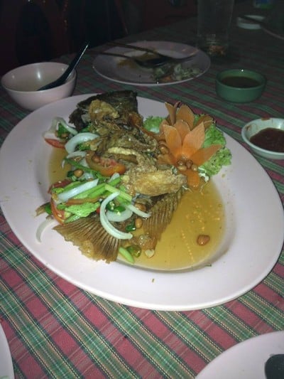 สวนอาหารแม่ปิงริเวอร์ไซด์ (MAE PING RIVERSIDE RESTAURANT) สวนอาหารแม่ปิงริเวอร์ไซด์ (MAE PING RIVERSIDE RESTAURANT)