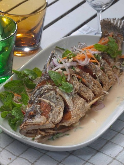 ปลากะพงมายสเปส