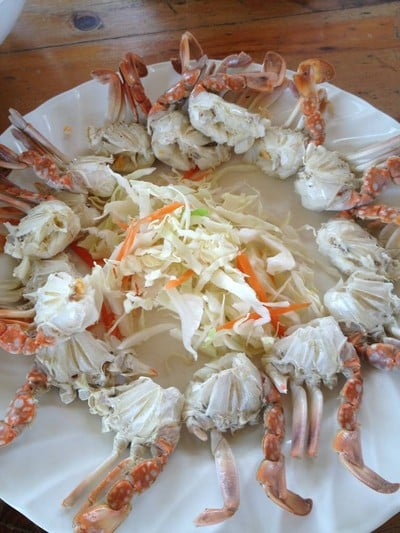 ปลาทูเรสเตอรอง