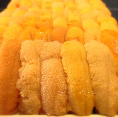 Fresh Uni Frm Hokkaido
