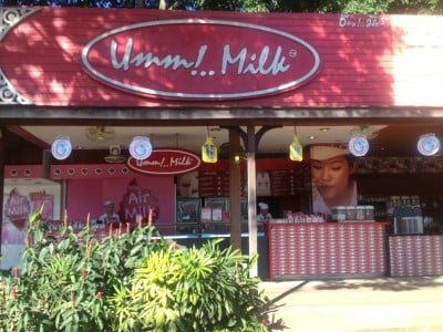 อืมมิลล์ (UMM MILK) ฟาร์มโชคชัย ปากช่อง อืมมิลล์ (UMM MILK) ฟาร์มโชคชัย ปากช่อง