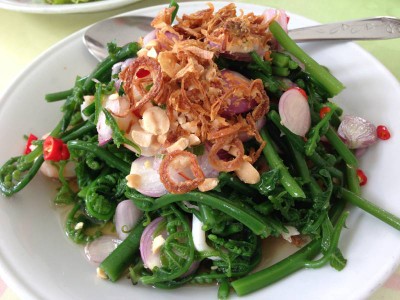 ยำผักกูดรสจัดจ้าน