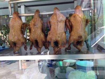 พยงค์เป็ดพะโล้