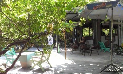 กาแฟ(โ)สด (Sode Cafe) หลังมอชอ