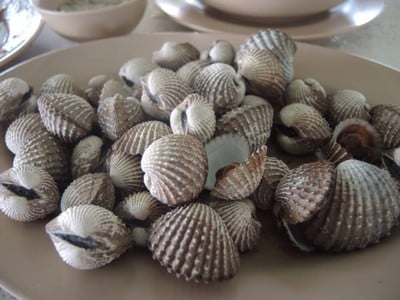ตองสาม (333)