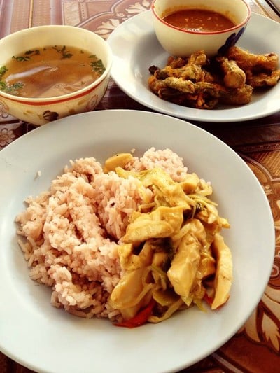 นิตย์ อาหารเจ