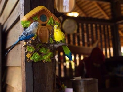 Sai Nai Restaurant at Ban Sainai Resort บ้านใสใน รีสอร์ท