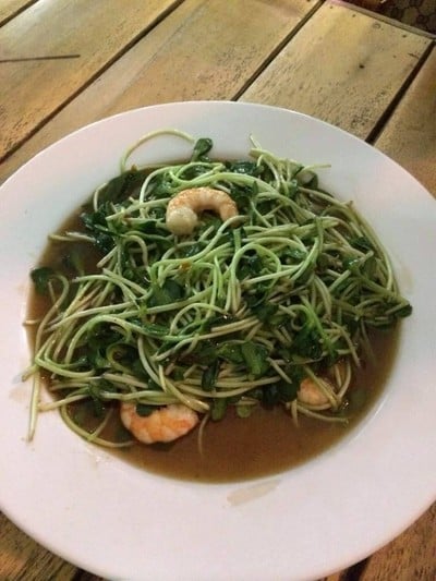 ต้นอ่อนทานตะวันผัดกุ้ง