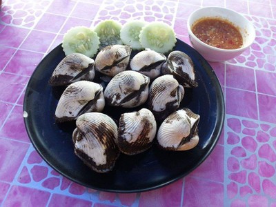 อื่นๆ