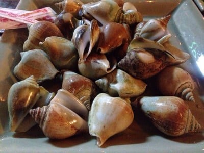 ทำเลซีฟู๊ด