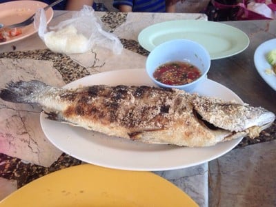 น้องพิม Nong Pim's