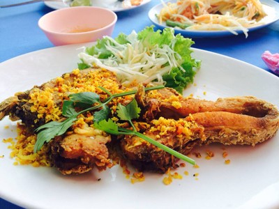 ร้านยกยอ (Yok Yor) Yok Yor Resort ร้านยกยอ (Yok Yor) Yok Yor Resort