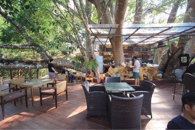 The Giant Chiang Mai Thailand