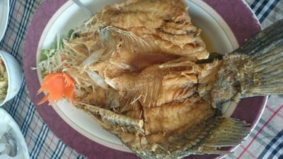ปลากระพงทอดน้ำปลา