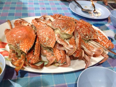ปูม้านึ่ง กก.ละ600