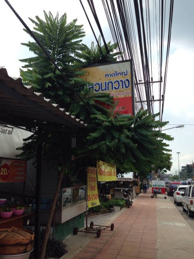 หม่ำแซ่บ ไก่ย่างเขาสวนกวาง