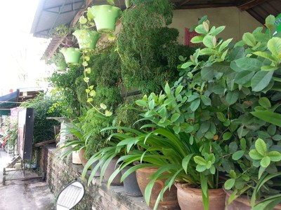 หน้าร้าน