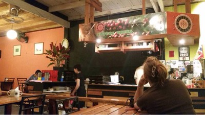 Coffee Trees