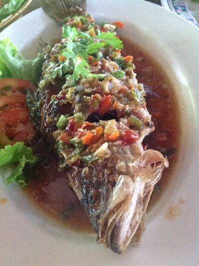 ปลากะพงสามรส