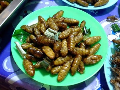 ตัวไหมทอด