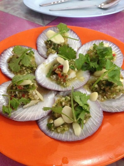 หอยเชลลทรงเครื่อง