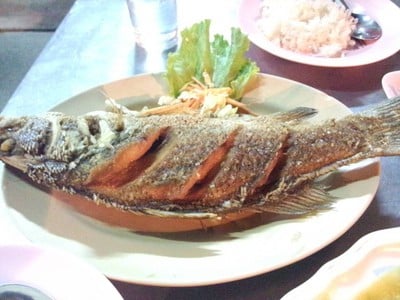 เทพโภชนา