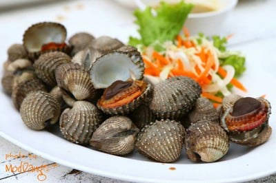 รับลม ชมเกาะ