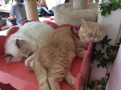 หลับกันหมด