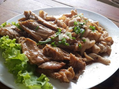 ก๋วยเตี๋ยวเป็ดตุ๋น-เป็ดพะโล้ยาจีน เจ้าเก่า 42 ปี รสเด็ด