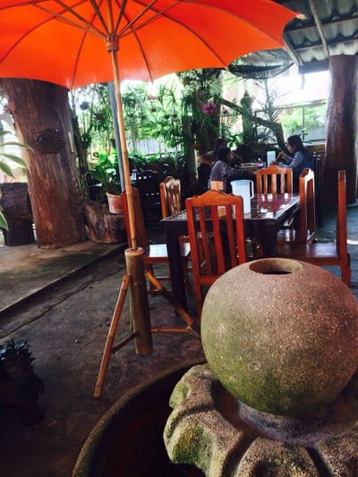 เต-ชา ก๋วยเตี๋ยวไข่ไดโนเสาร์