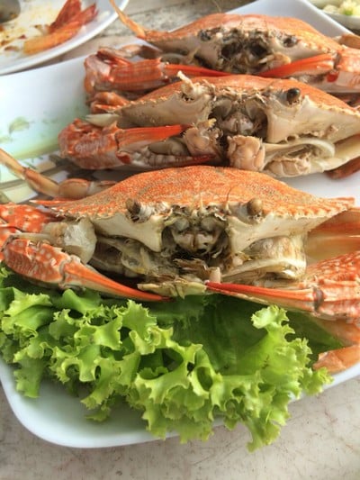 โก้ซีฟู๊ดสะพานยาวนาเกลือ