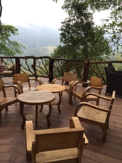 The Giant Chiang Mai Thailand