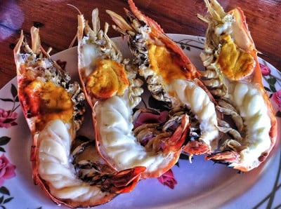 รวยกุ้งเผา