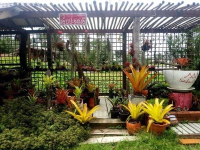 Sala Cafe´