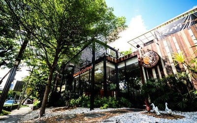 กาแฟวาวี เดอฟอร์เรส แอด เย็นอากาศ