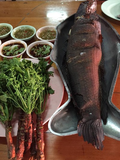 ปลาช่อนเผาสะเดาน้ำปลาหวาน