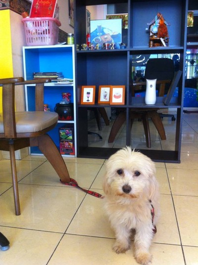 เจ้าของร้าน ฮันนีี่ เองค่ะ