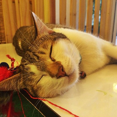 อื่นๆ