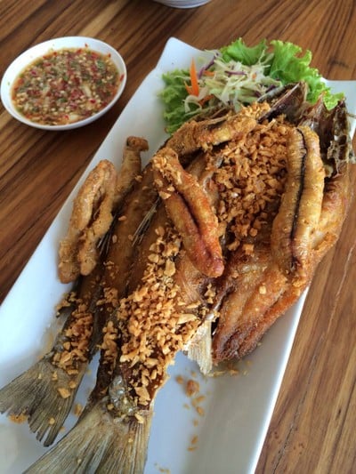 จันทรโภชนา มหาราช