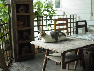 SKETCH BOOK Art Café