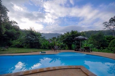 Chiang Dao Nest (ส่วนร้านอาหาร) 1