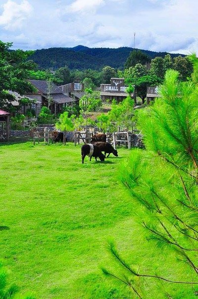 small farm