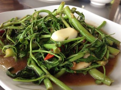 แพท่าจีน