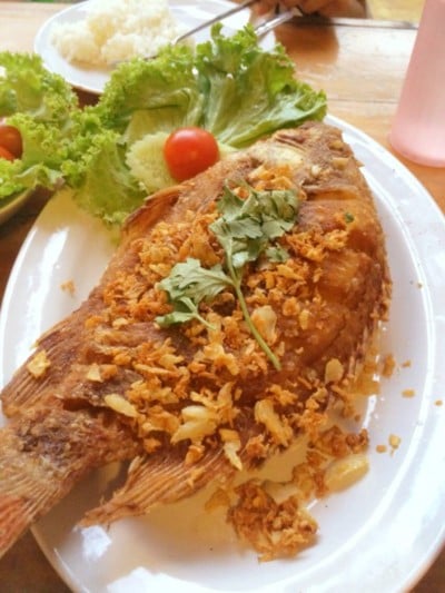 ครัว พ.เพียง