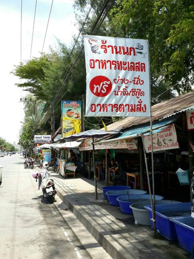 นก ซีฟู๊ด ชะอำ