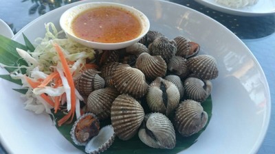 สุดทางรักพัทยา พัทยา