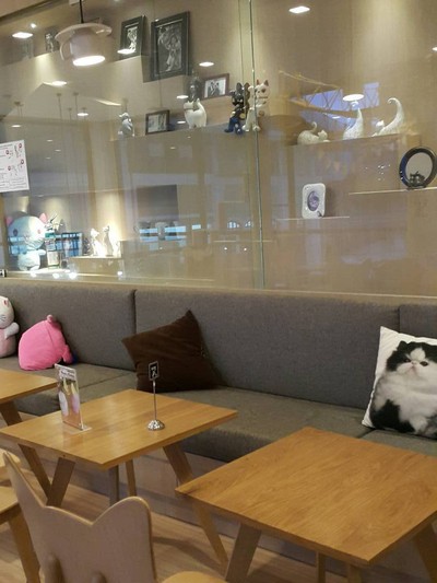Cat Up Cafe The UP Rama 3