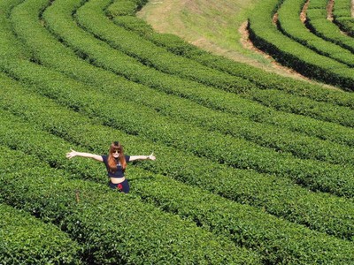 ภูภิรมย์